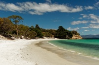 Tasmania - Maria Island o6421